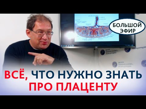 Видео: Плацента: как это работает? Всё, что важно знать про плаценту. Гузов И.И.