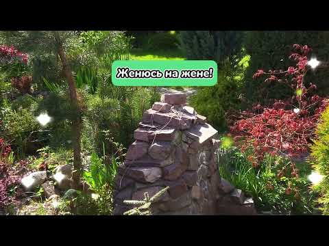 Видео: ЖЕНЮСЬ НА ЖЕНЕ!