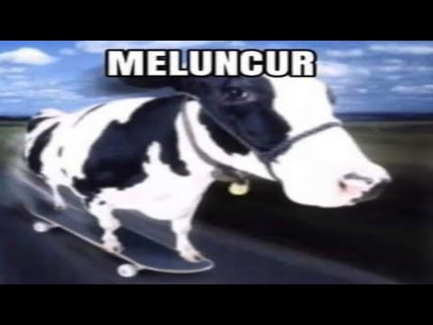 Видео: 1 час абсурдных мемов, которые я нашел ночью