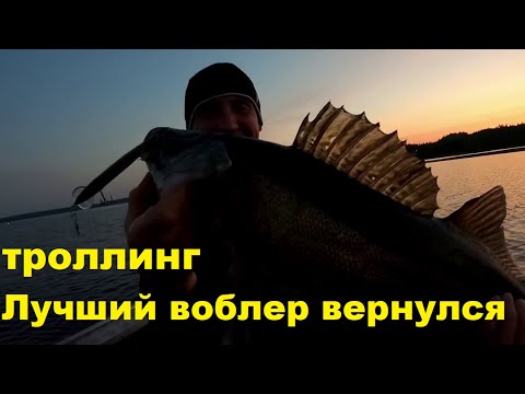 Видео: Салмо Вэки - лучший воблер для верхового троллинга.