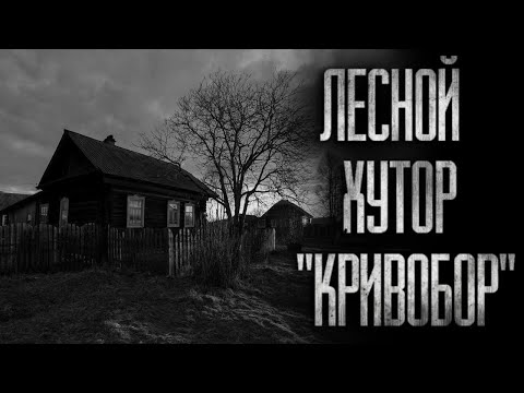 Видео: ЛЕСНОЙ ХУТОР ''КРИВОБОР''... (ВСЕ ЧАСТИ) Страшные истории на ночь