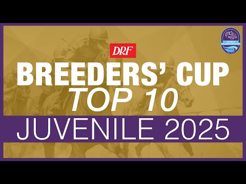 Видео: Фокус на Кубке заводчиков | Молодёжь 2025