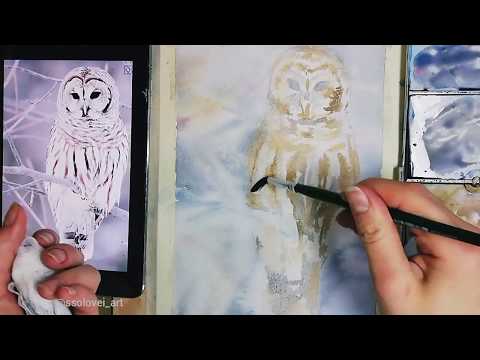 Видео: Как рисовать сову Акварелью.Урок