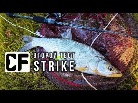 Видео: ЖЕРЕХ на МИКРОДЖИГ / ВТОРОЙ ТЕСТ CF STRIKE 694ULS TRAVEL