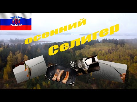 Видео: Рыбалка на Селигере осенью! Мечта почти сбылась!