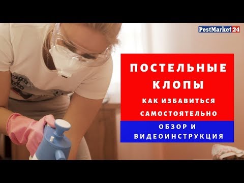 Видео: Как избавиться от клопов I Постельные клопы в квартире I Лучшее средство от клопов