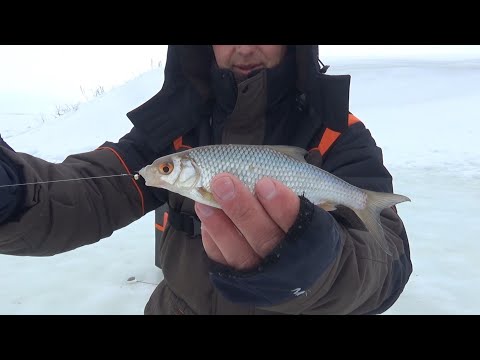 Видео: ПОДОБРАЛ К РЫБЕ КЛЮЧ! Рыбалка по последнему льду 2024!