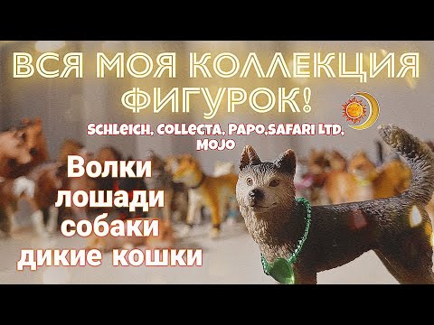 Видео: ВСЯ МОЯ КОЛЛЕКЦИЯ ФИГУРОК. Schleich Collecta Safari ltd Mojo Papo. Собаки,волки,лошади,дикие кошки