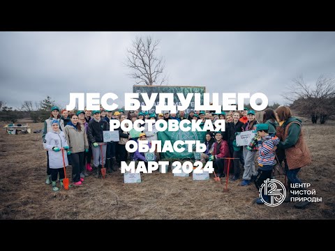 Видео: 30 000 деревьев в Ростовской области|Лес будущего