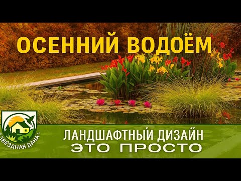 Видео: Осенний Водоём/ Как поддержать красоту водоема/ Ландшафтный дизайн - это просто/ Звёздная Дача!