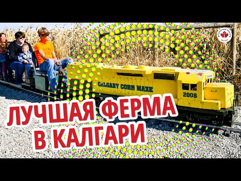 Видео: ЛУЧШАЯ ФЕРМА В КАЛГАРИ | РАЗВЛЕЧЕНИЯ ДЛЯ ДЕТЕЙ В КАНАДЕ / Иммиграция в Канаду 2019