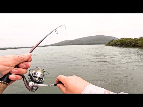 Видео: Каждый раз был БОЛЬШЕ! Эпическая сессия поклевок плоскоголовки!