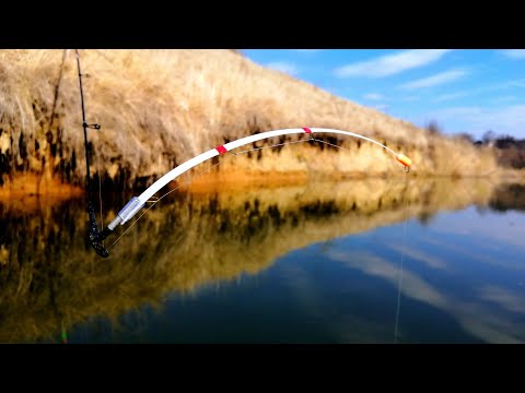 Видео: ТОЛЬКО ОПУСТИЛ КИВОК В ВЕТКИ И ПОНЕСЛОСЬ...🚀🚂🎣