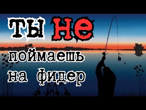 Видео: Главные приёмы фидерной ловли, о которых ты не знал!