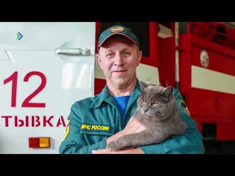 Видео: В пожарной части Выльгорта провожают на заслуженный отдых пушистого талисмана – кошку Лушу.