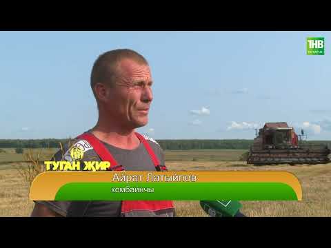 Видео: Туган җир 23/08/24