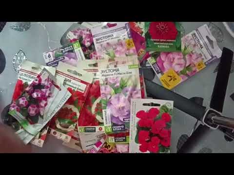 Видео: Начинаю закупаться семенами 🌹
