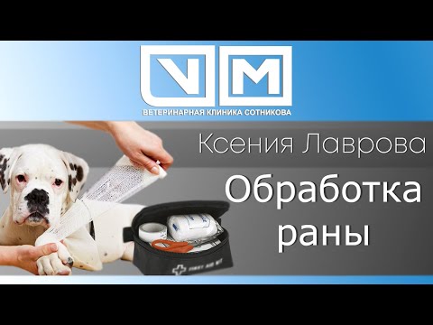Видео: Обработка раны
