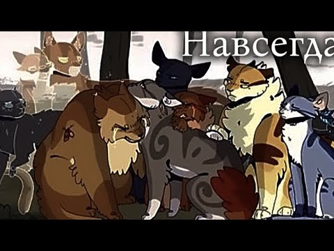 Видео: Коты воители клип {навсегда} 