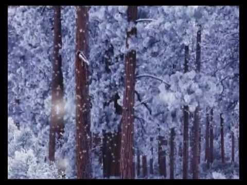 Видео: Карлы чыршылар.Татарча Караоке