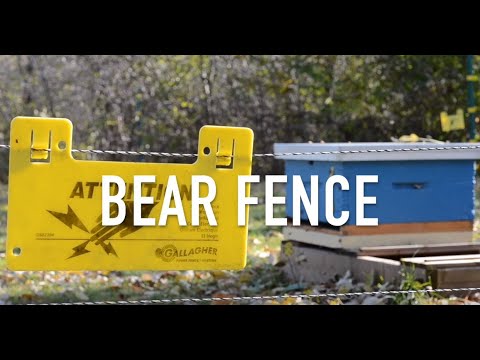 Видео: Медвежий забор