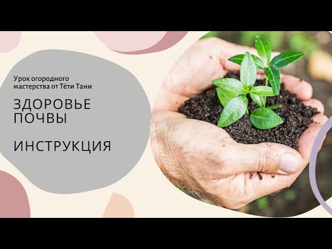 Видео: 626. Трихоцин тоже не панацея. Так как же и почву почистить и деньги сэкономить?