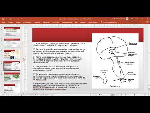 Видео: Слуховой и вестибулярный анализаторы