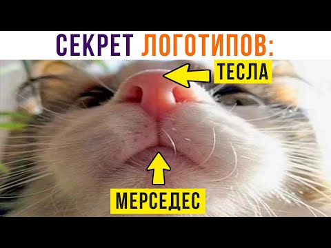 Видео: ТАК ВОТ ОНО ЧТО!))) Приколы с котами | Мемозг 887