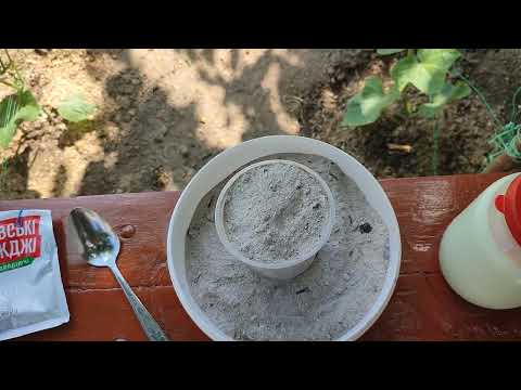 Видео: ФОРМУВАННЯ СТЕБЛА ОГІРКІВ. ВАЖЛИВІ  ПІДКОРМКИ.