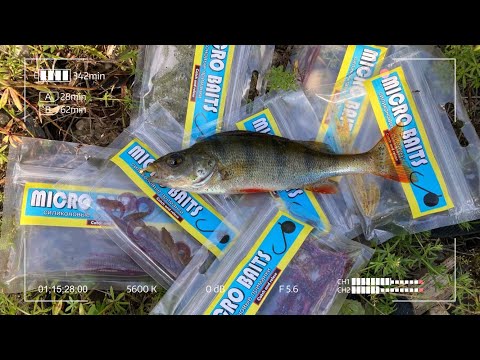 Видео: Силиконовые приманки Micro Baits. Первый опыт использования.