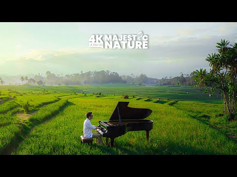 Видео: Симфония Земли: Фортепиано и геометрия рисовых полей