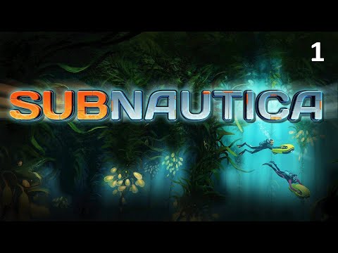 Видео: Начинаем новое испытание ▶ SUBNAUTICA # 1