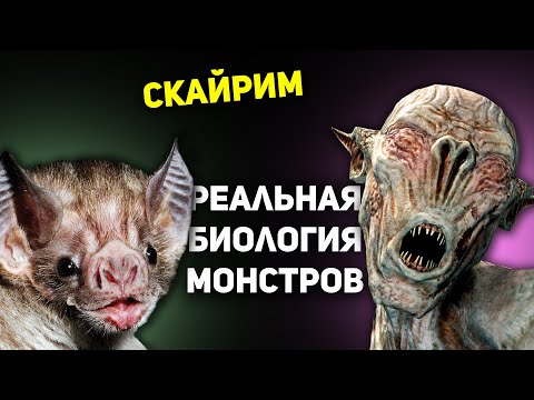 Видео: Монстры Скайрима в реальном мире | Реальная биология