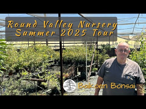 Видео: Эд Кларк – Питомник Round Valley – Летний тур 2025 года – Место для выращивания бонсай – Клуб бон...