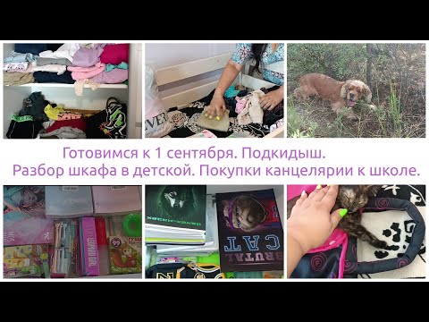 Видео: Готовимся к 1 сентября. Разбор шкафа в детской, расхламление. Подкидыш. Покупки канцтоваров к школе.