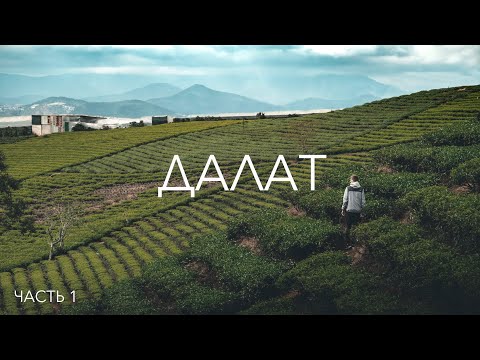Видео: Далат. Часть 1 // Чайные и кофейные плантации Далата // Водопад Пренн // ВЛОГ