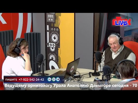 Видео: Live «Маевка» от 11 ноября 2025г.