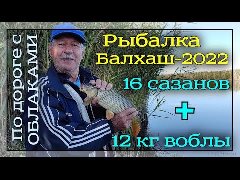 Видео: Балхаш. Рыбалка на Балхаше. 28-30 августа 2022 г.