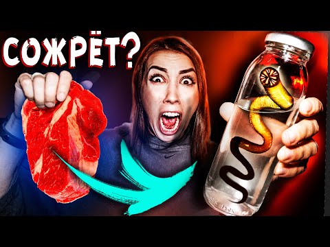 Видео: ЧТО ест ЧЕРВЬ ПОЖИРАТЕЛЬ SCP 153? СТРАШНАЯ ПЕРЕПИСКА с АЗИАТКОЙ из ТИК ТОК