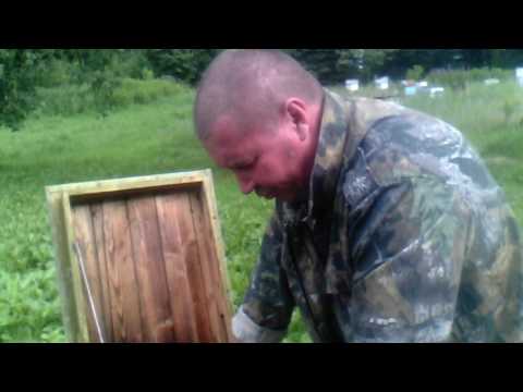 Видео: Как  избавиться от аскосфероза.