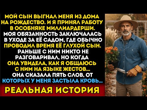 Видео: Мой сын выгнал меня из дома на Рождество. Некуда было идти, и я устроился на работу в…
