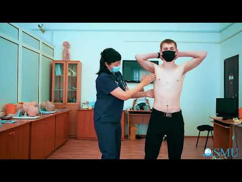 Видео: Өкпенің топографиялық перкуссиясы Окпе перкуссиясы