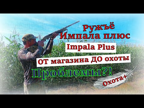 Видео: Импала Плюс Турция Impala Plus Turkey ОБЗОР ОТ магазина ДО охоты. Первые выстрелы. Проблемы #impala