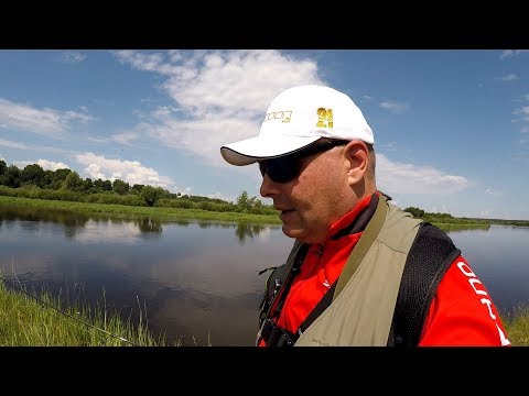 Видео: Летний спиннинг на Березине