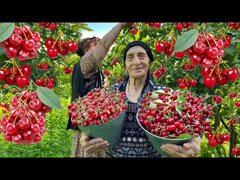 Видео: Микс «Мы приготовили вишневый компот» и видео бабушкиного урожая фруктов