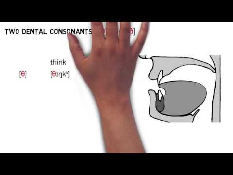 Видео: Произношение английского языка (общеамериканского), Видео 1: Фонетика и правописание английского ...