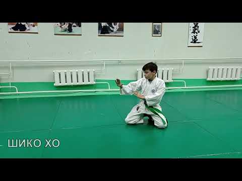 Видео: Стойка и перемещения в айкидо