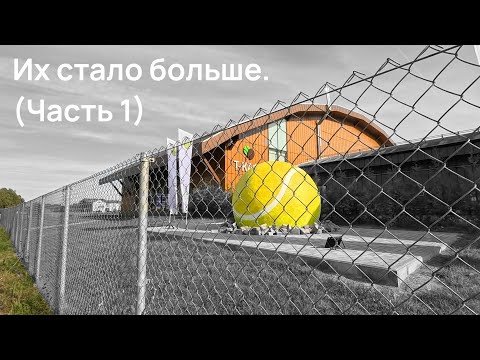 Видео: Это Завидово: ОПАСНАЯ ДОРОГА. Корт для звезд. ИХ СТАЛО БОЛЬШЕ. Люди чиллят (Часть 1)