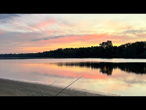 Видео: Рибалка на хижака 