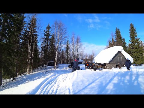 Видео: НАШЛИ ИЗБУ ПРАДЕДОВ \ ТАЁЖНЫЙ БЫТ КОМИ НАРОДОВ \  РЫБАЛКА 2019